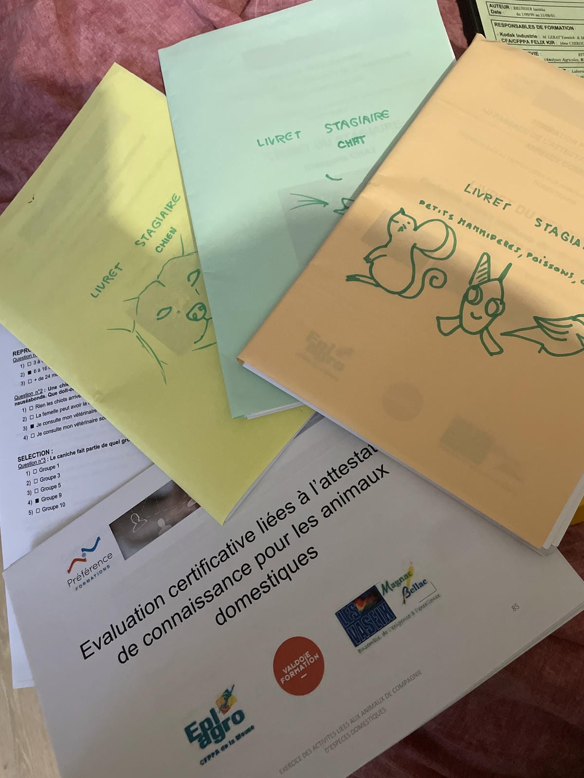 Certificat ACACED