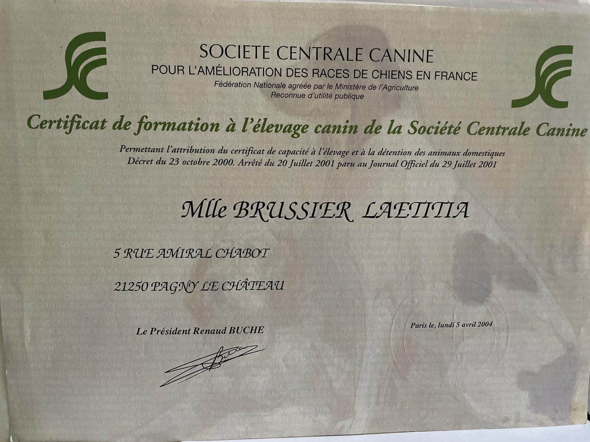 Diplôme Société Centrale Canine