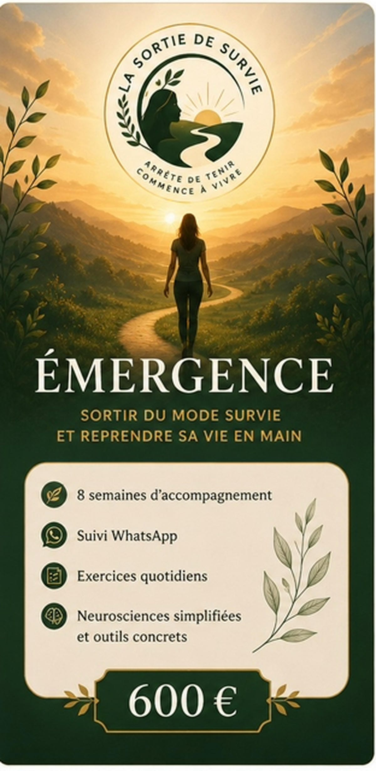 Programme Émergence